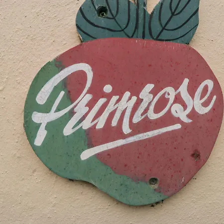 Prázdninový dům Primrose